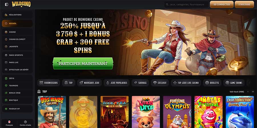 wildsino casino accueil.